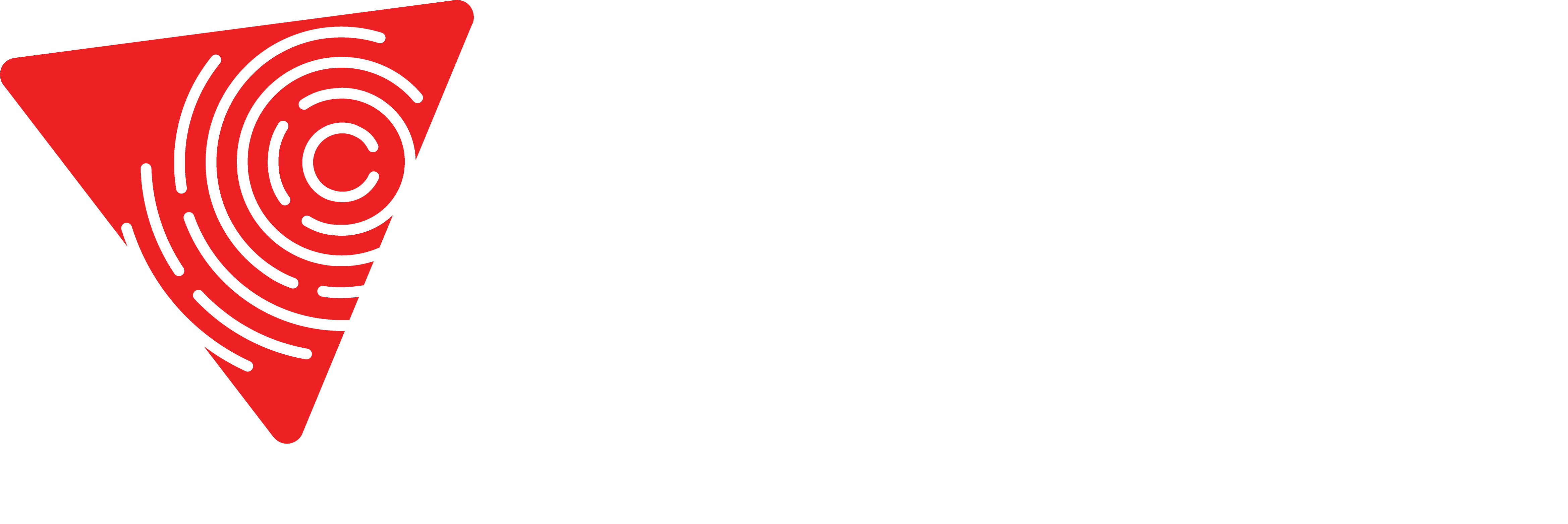 Auxilium-Labs automotive pentest